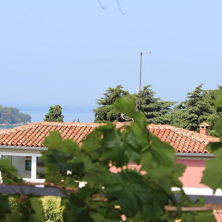 Apartments Horizont Ровин Екстериор снимка